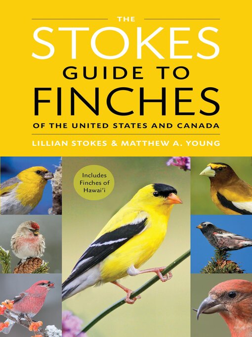 Title details for The Stokes Guide to Finches of the United States and Canada by Lillian Q. Stokes - Available
